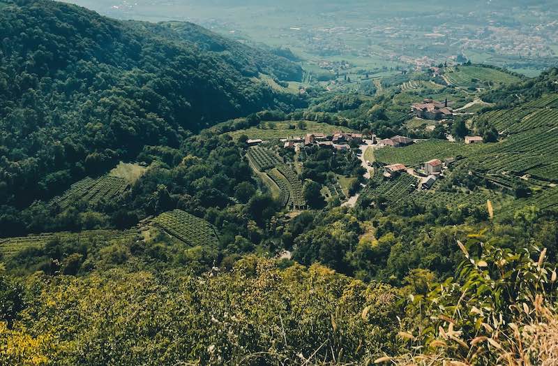 una panoramica della Valpolicella